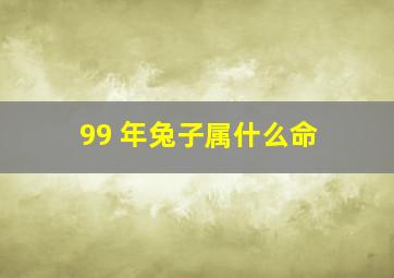 99 年兔子属什么命